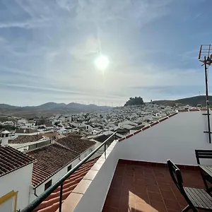 With Terrace Apartment